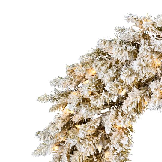 24" Warm White Dura-Lit® LED Frosted Gold Wreath